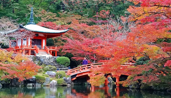 Berwisata Taman Taman di Jepang yang Indah dan Tradisional